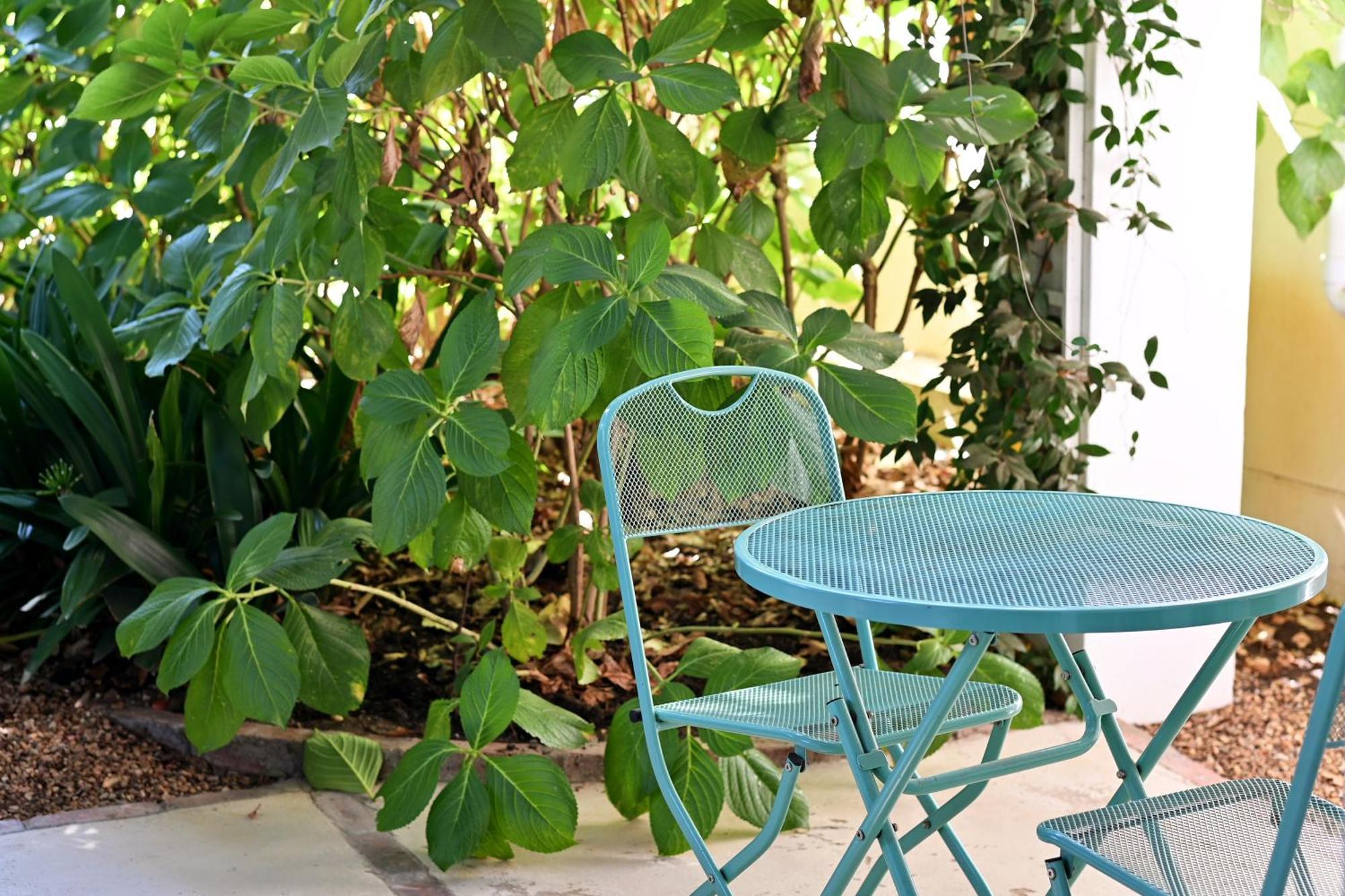 Fransvliet Guest House Franschhoek Bagian luar foto